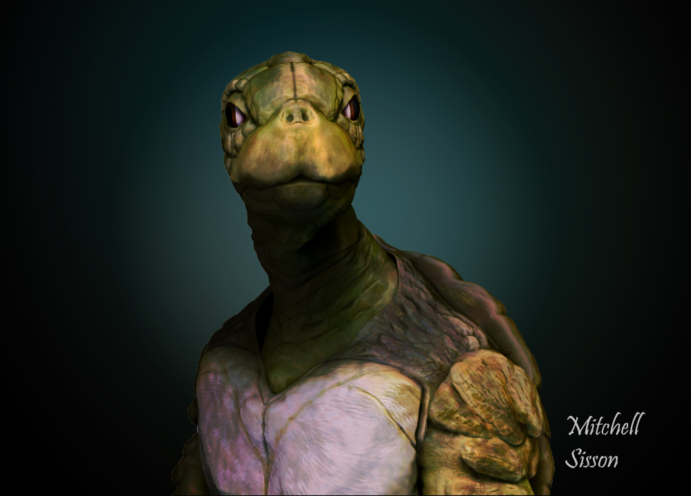 turtle_Render.jpg