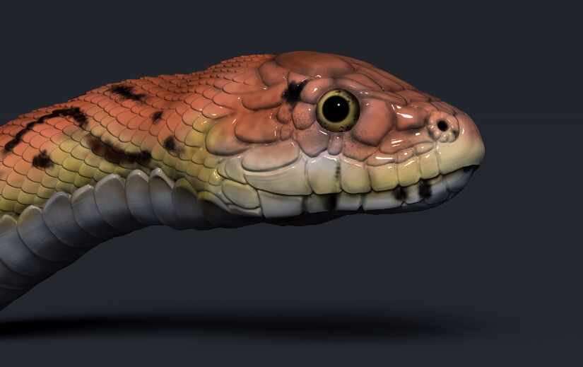 snake polypaint zbrush art