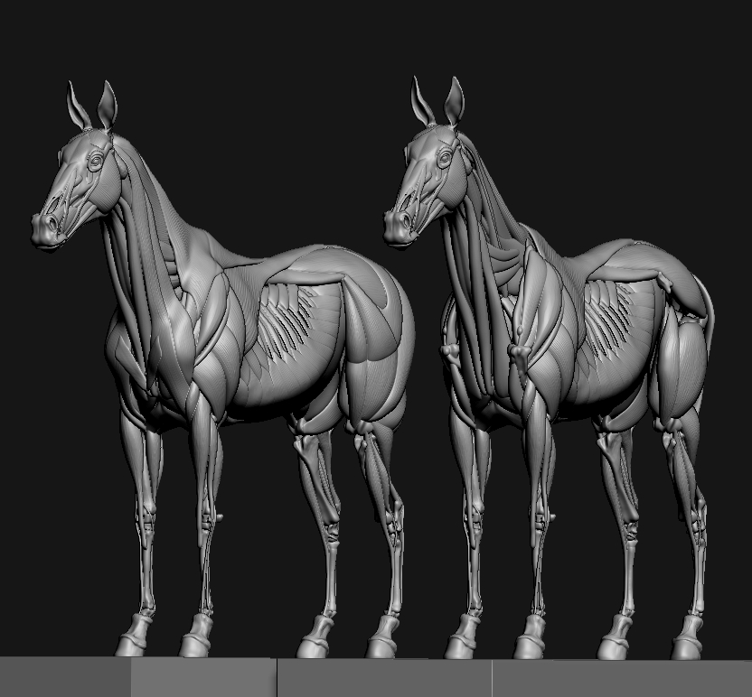 ZBrush Document