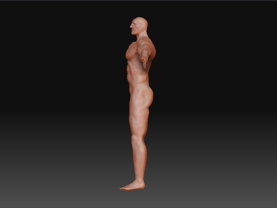 skin2.jpg