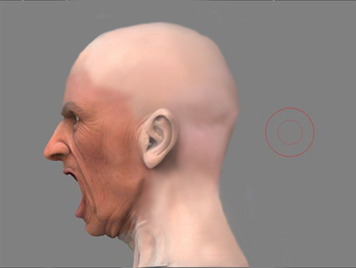 head.jpg