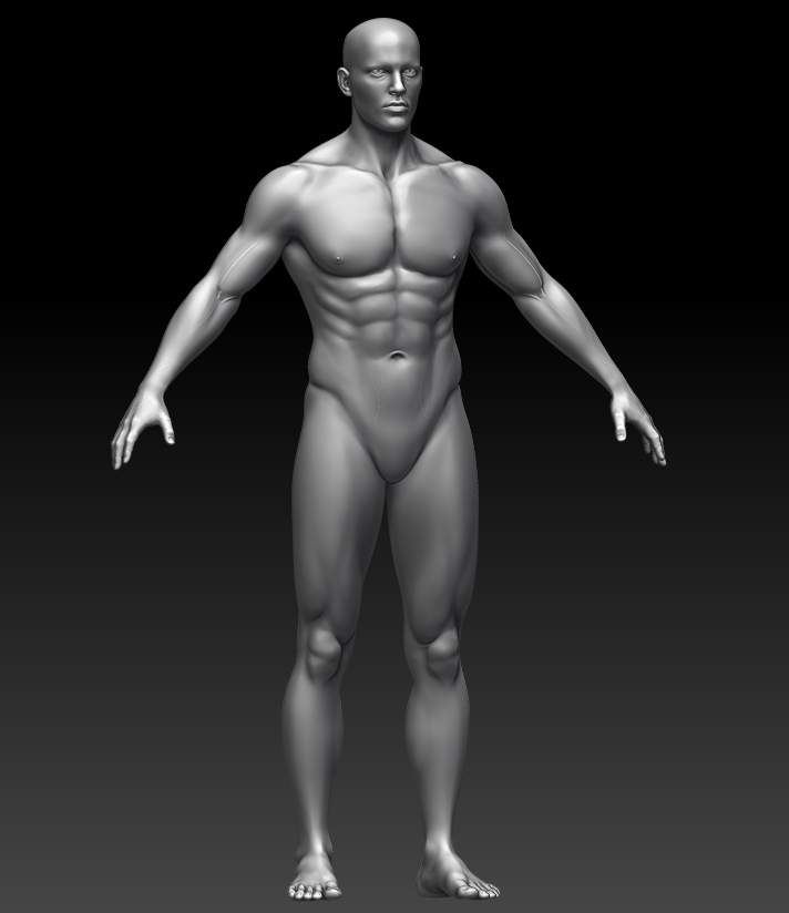 male_body_wip_108.jpg