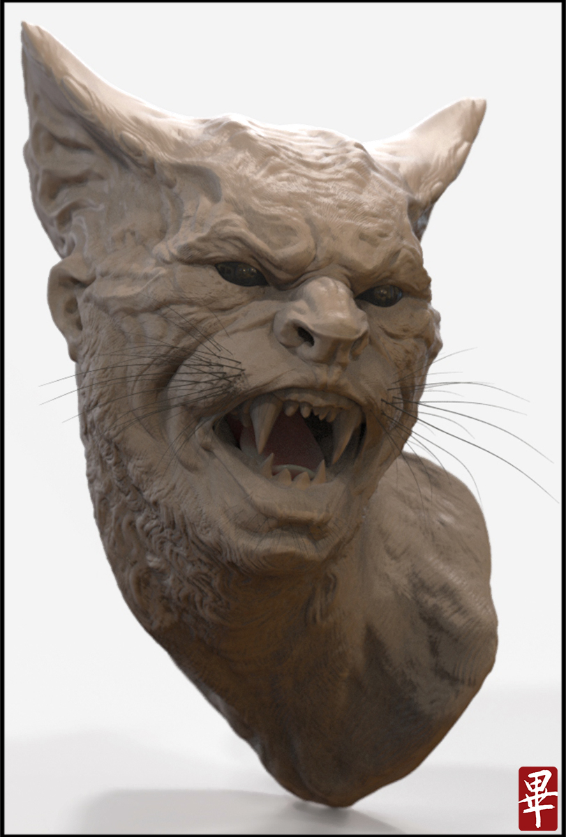 Bcat_01.jpg