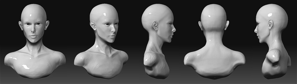 femhead.jpg