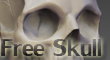 newskullthumb.jpg