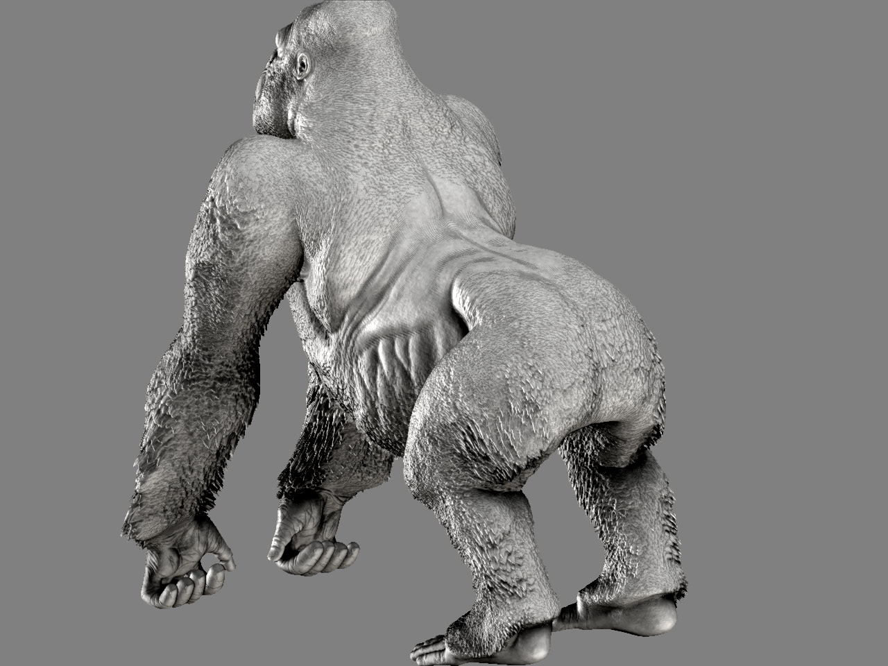 gorilla_03.jpg
