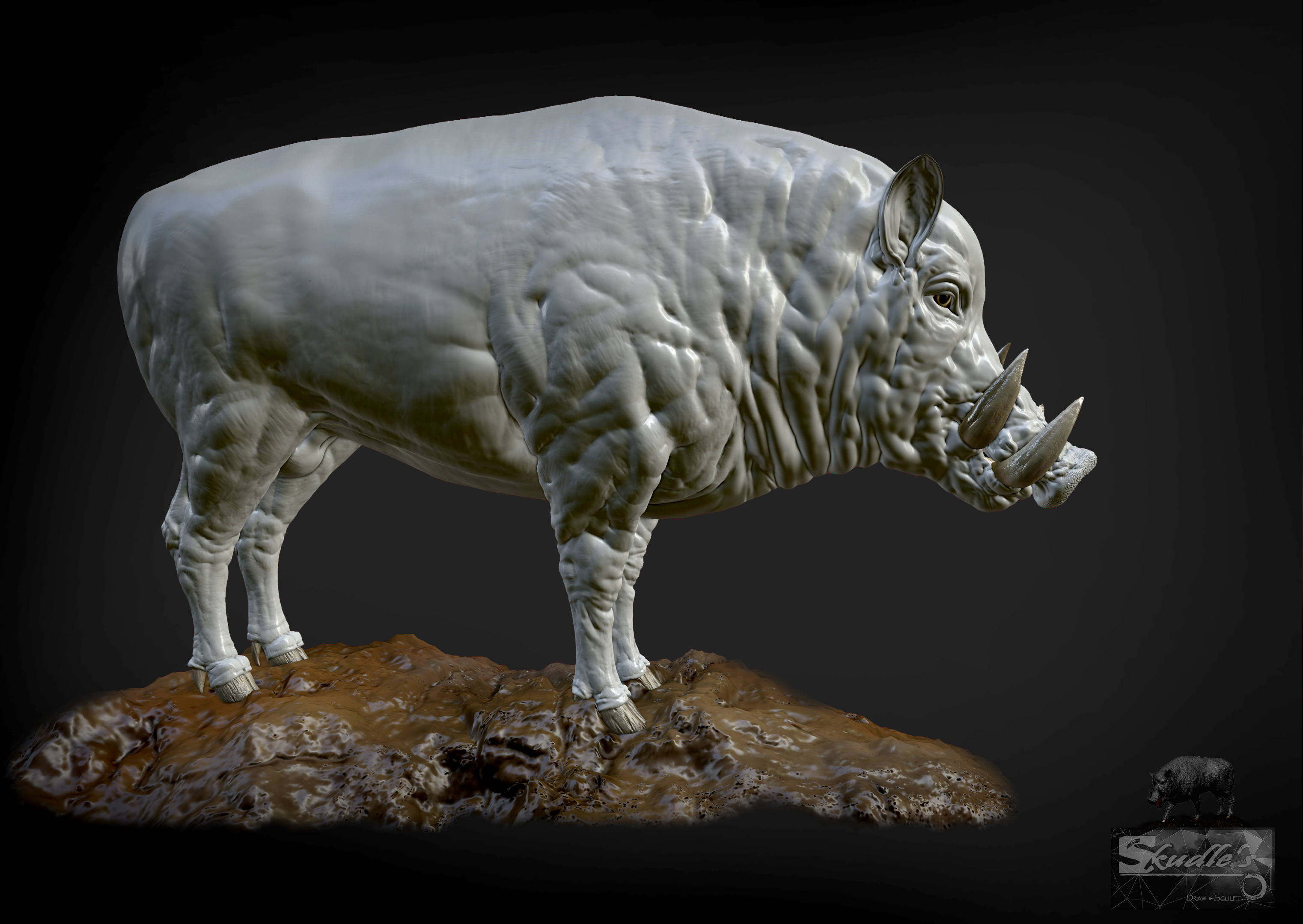 wild%20boar%20muscle%20model