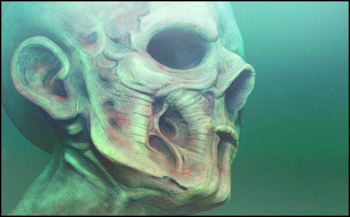 head SNOD 1 WEB.jpg