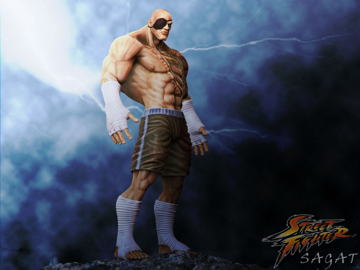 Sagat 5 a.jpg