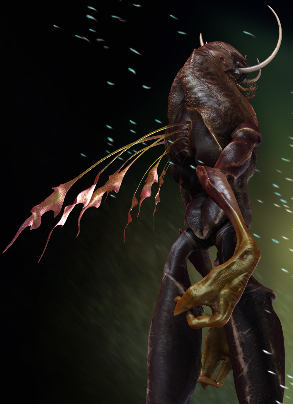 SoftBack2.jpg