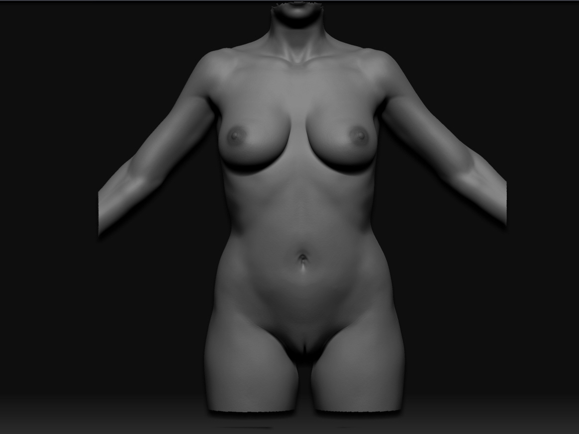 ZLATA V3.4 DETAIL SHADED TORSO FRONT.jpg