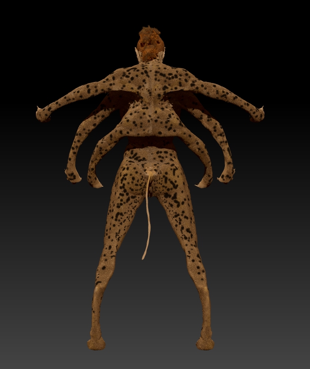 Back.jpg