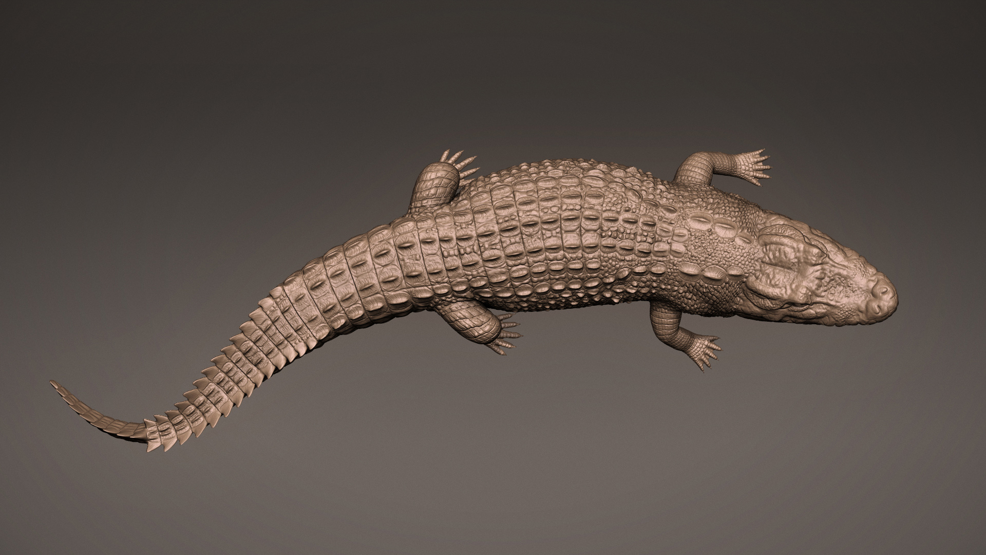 ivan-kocic-crocodilepresentation-top-1.jpg