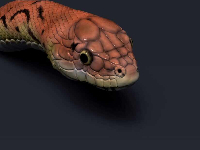 snake polypaint zbrush art1