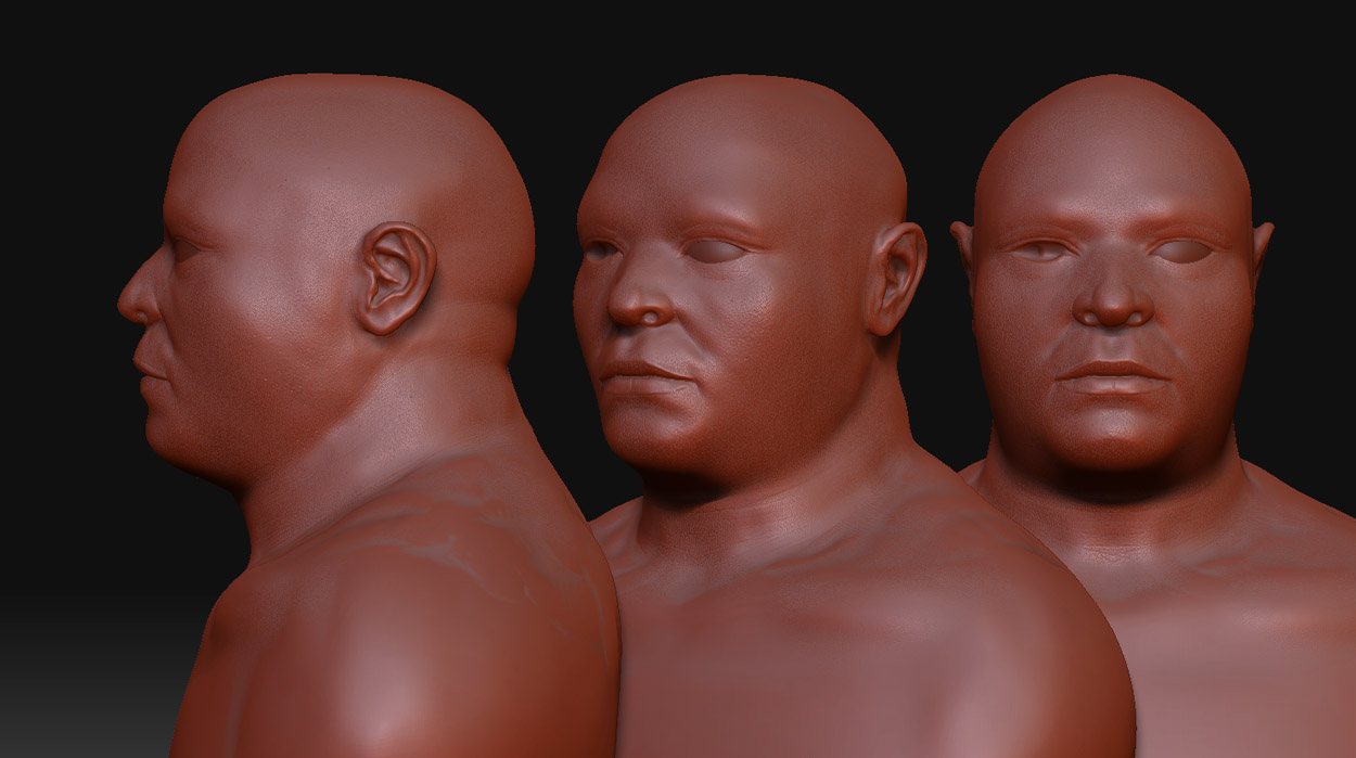 bust5_sheet.jpg