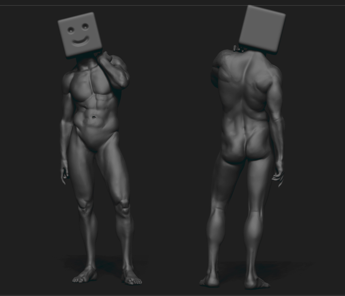 Anatomy1.jpg