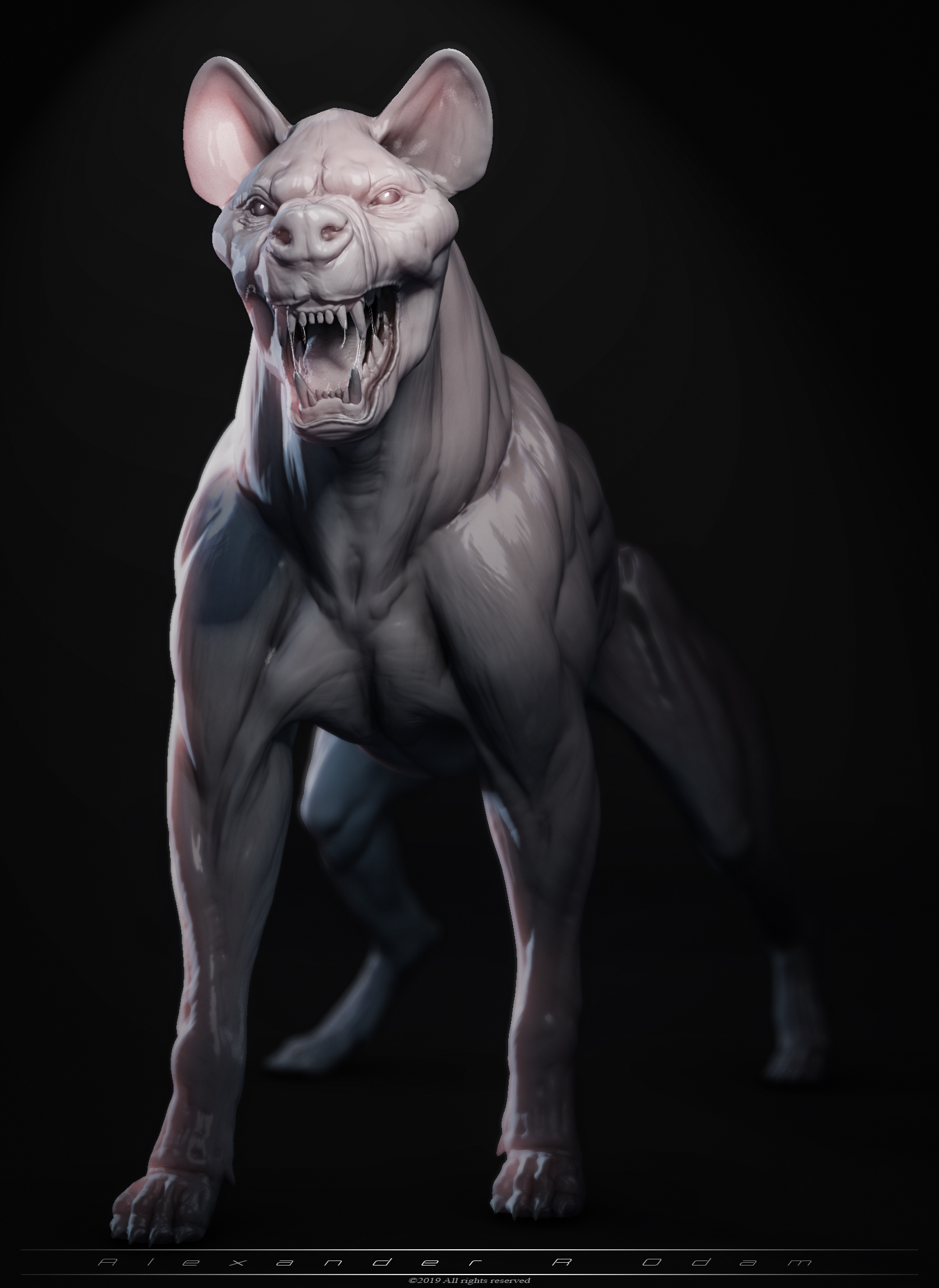 goodDog_PR02.jpg