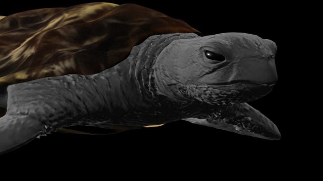 maya.jpg