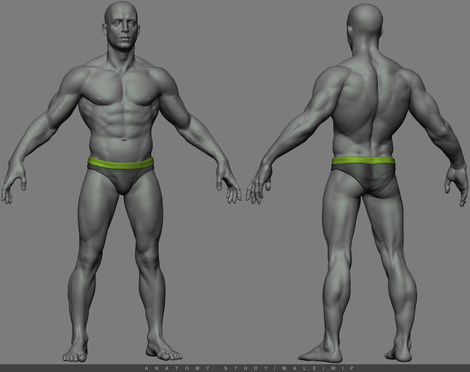 anatomy%u00252Bstudy_E.jpg