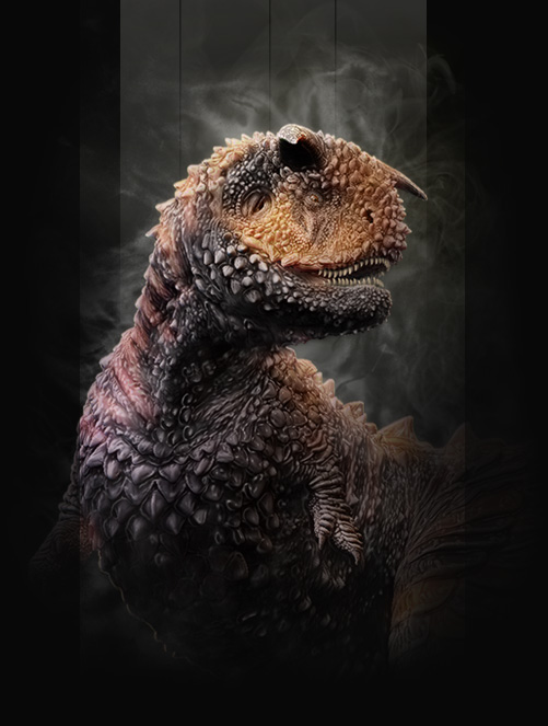 bgimgcarno.jpg