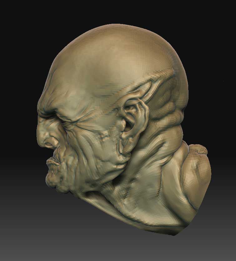 model02.jpg