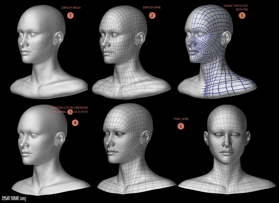 WomanFace_new_wire.jpg