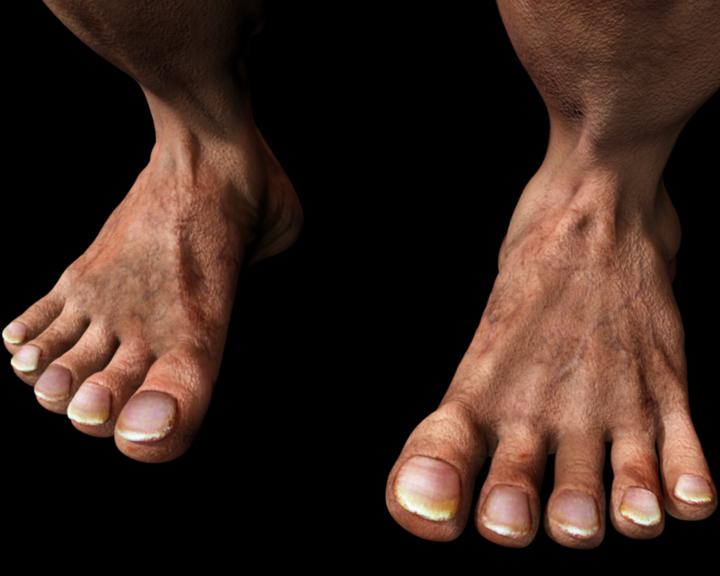 feet.jpg