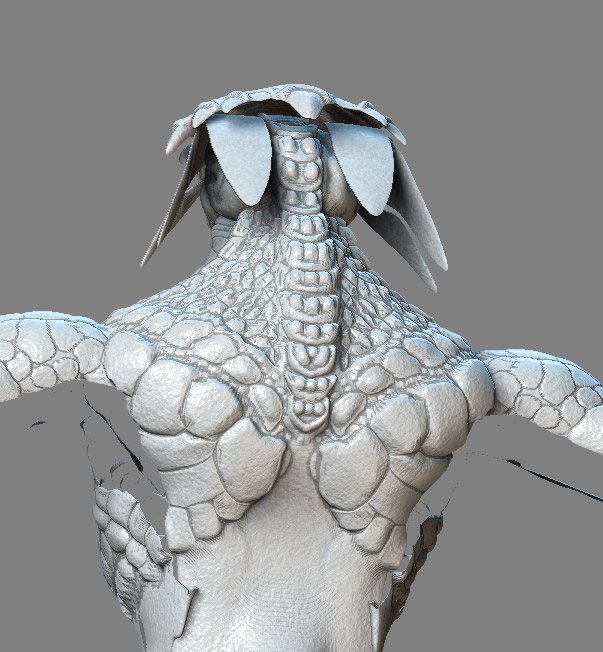 rear.jpg