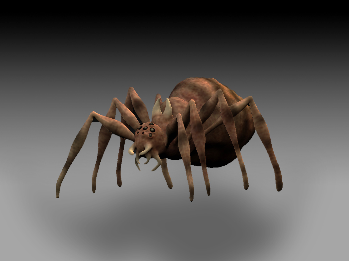 spida2.jpg