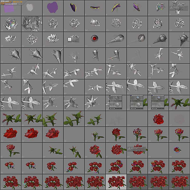 roses_thumbs.jpg