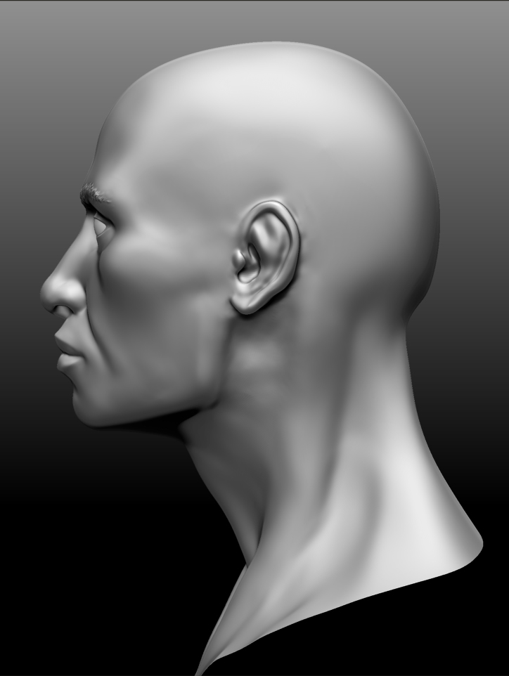 Male_Head_03.jpg