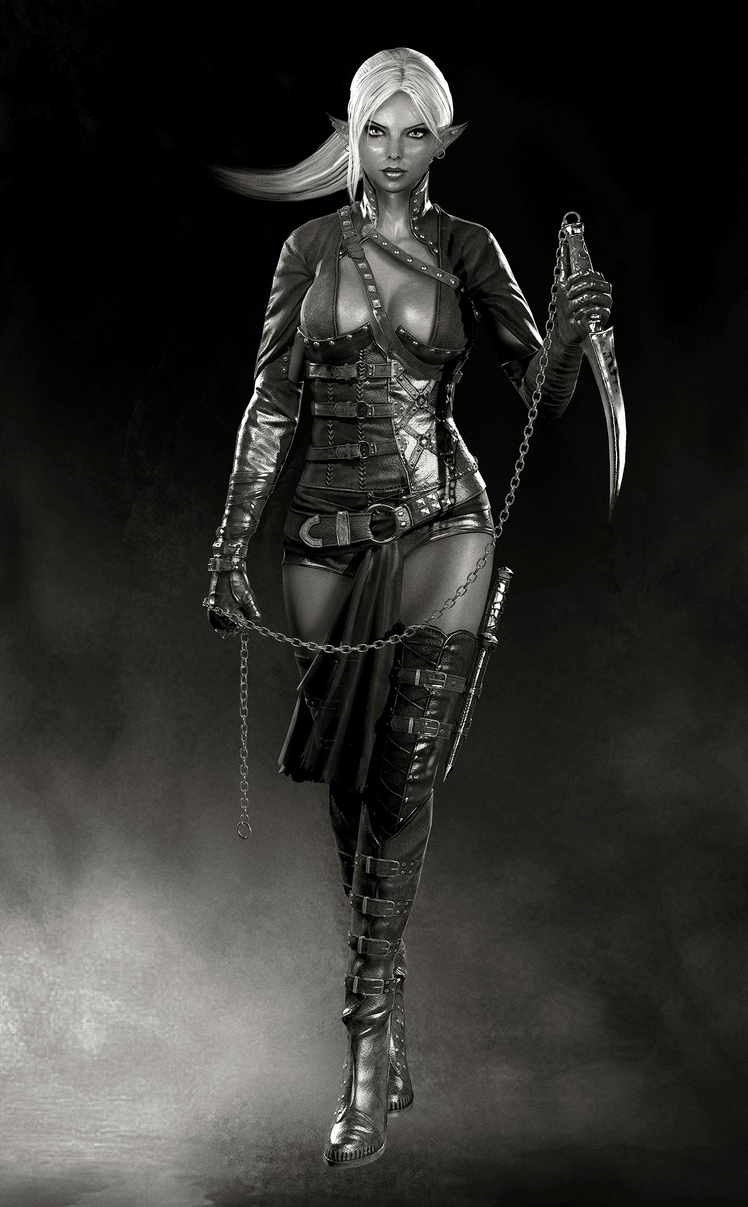 render-full-bw_zb.jpg