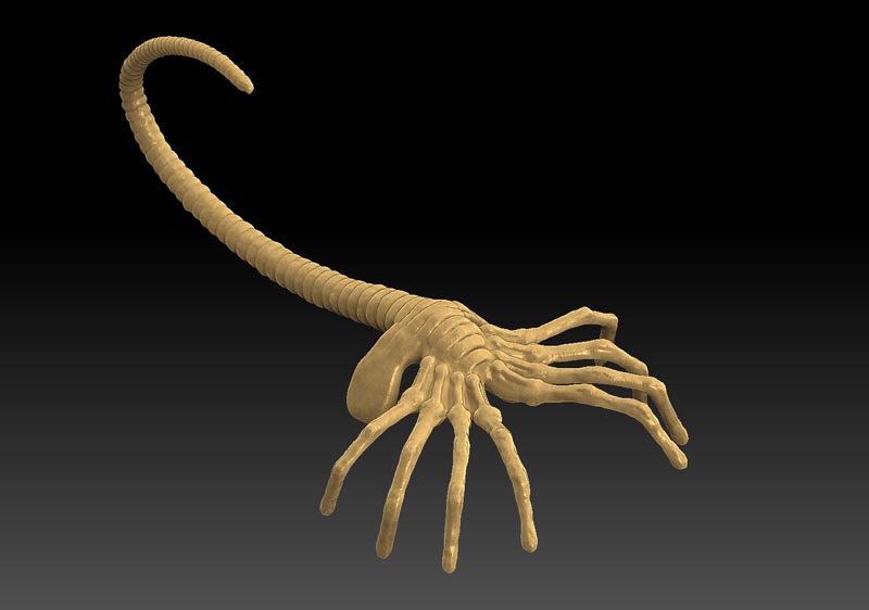 facehugger3 5.jpg