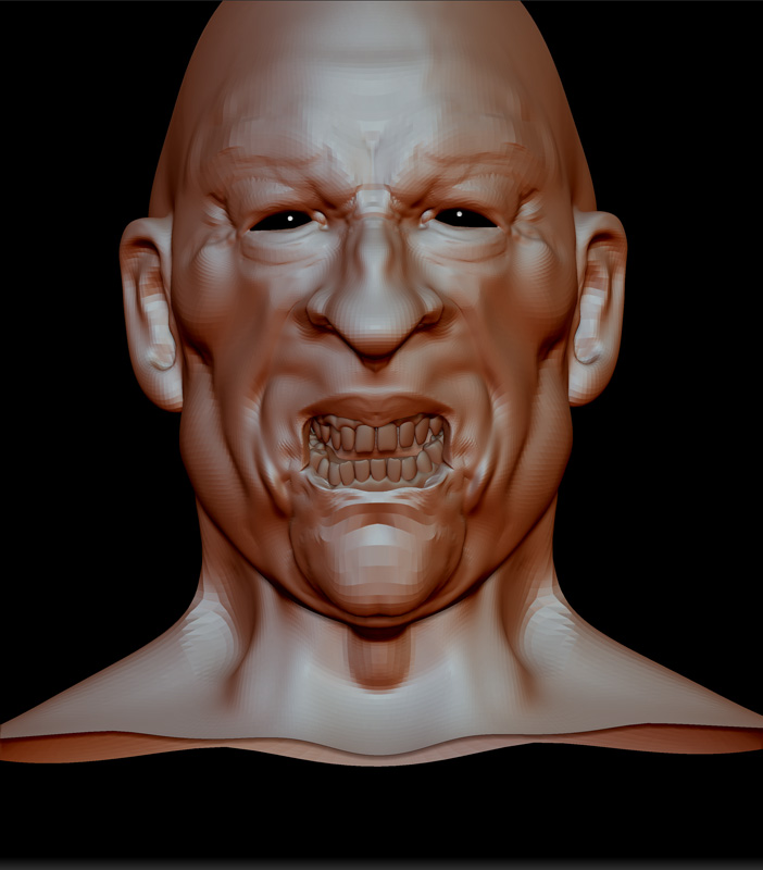 AGED HEAD STUDY 9.jpg