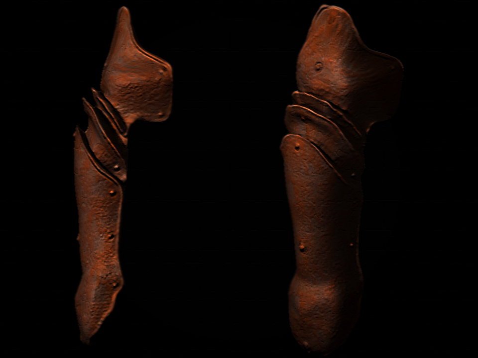 Side Plate Right Rust.jpg