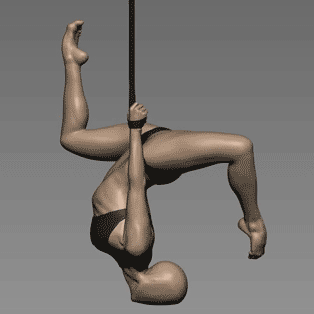 femalestrapsgiflowres.gif