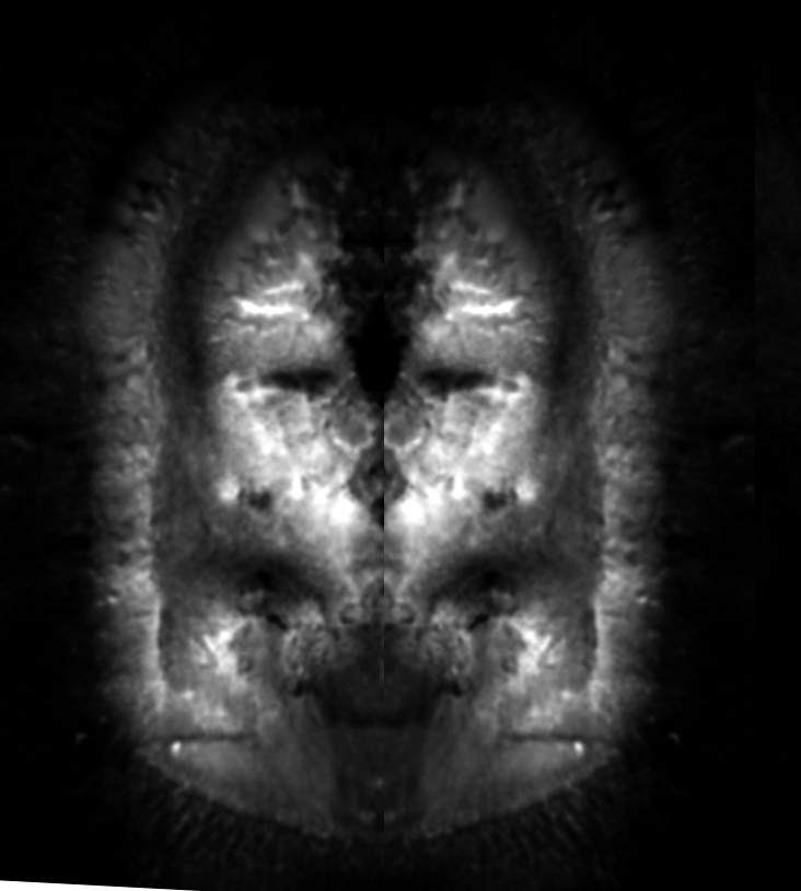 marsfaceinvert.jpg