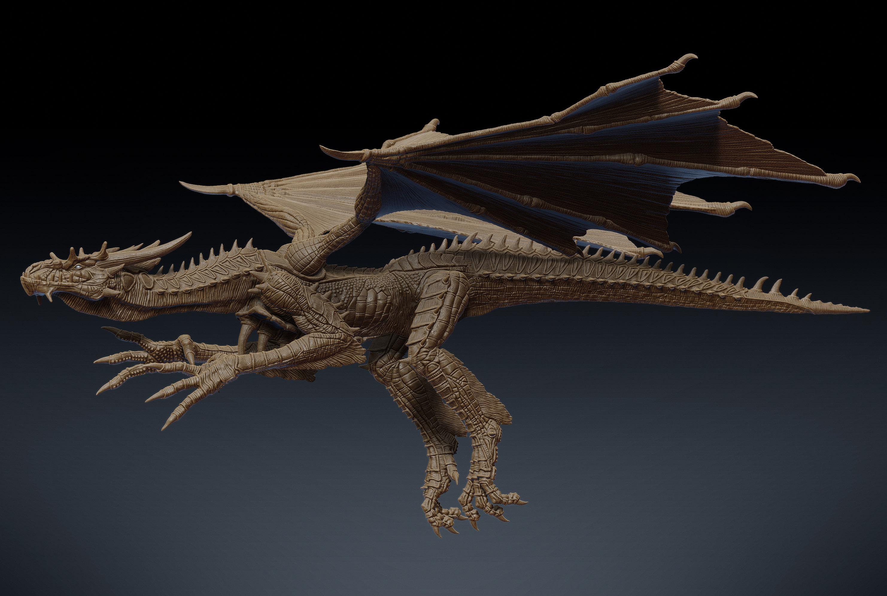 dragon_render_angle01_02.jpg