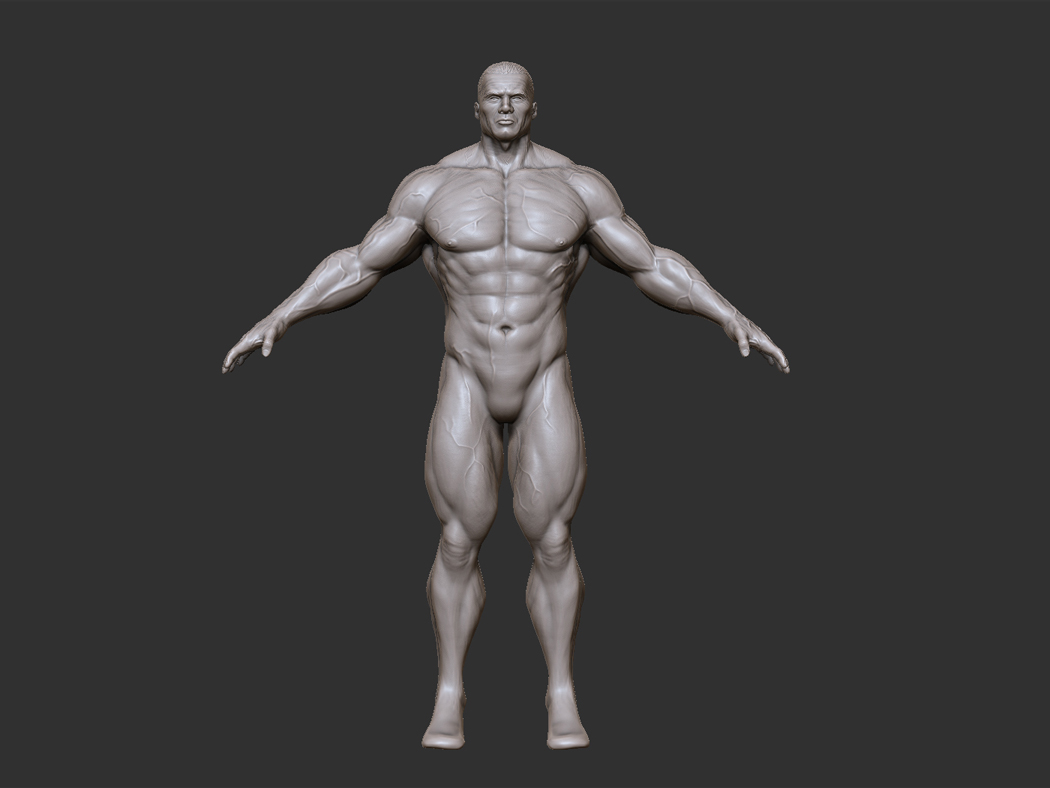 he-man_body_front_01.jpg