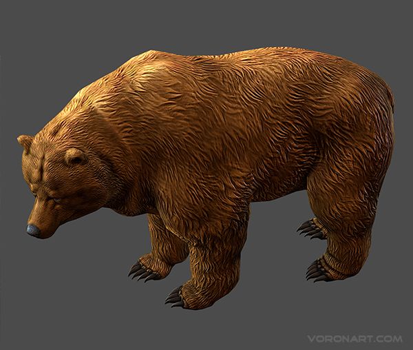 3d-bear-animated-04.jpg