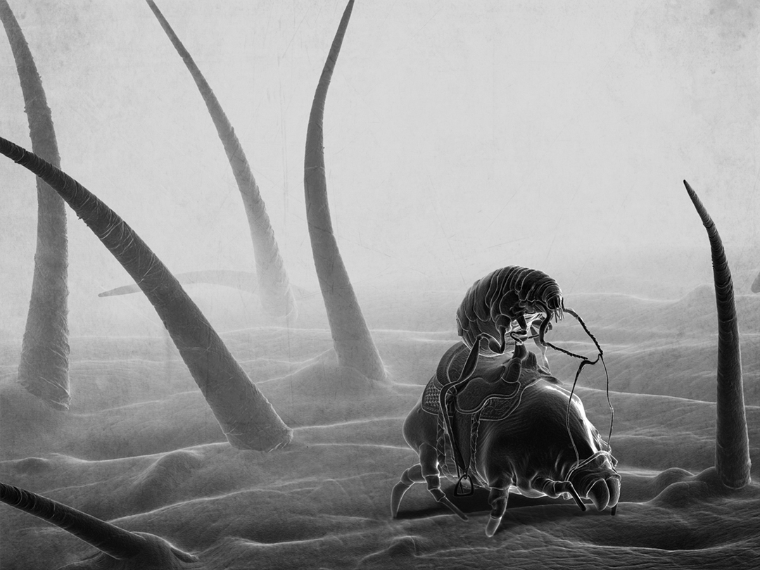 Lauren_Cason_New_Frontiers_SOI_2012_Large.jpg