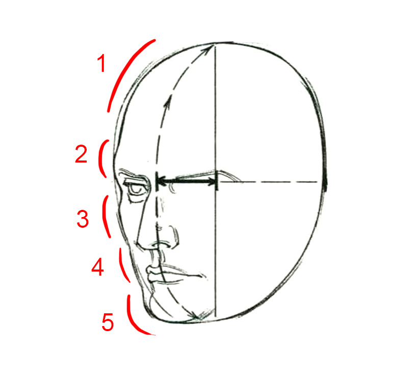 roundshape.jpg
