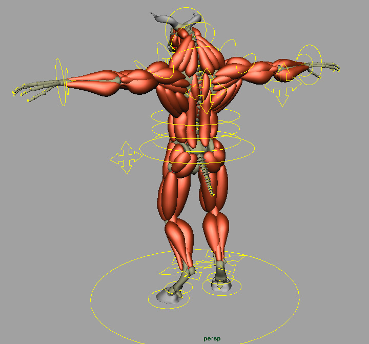minotaurRigWireBackPersp.jpg