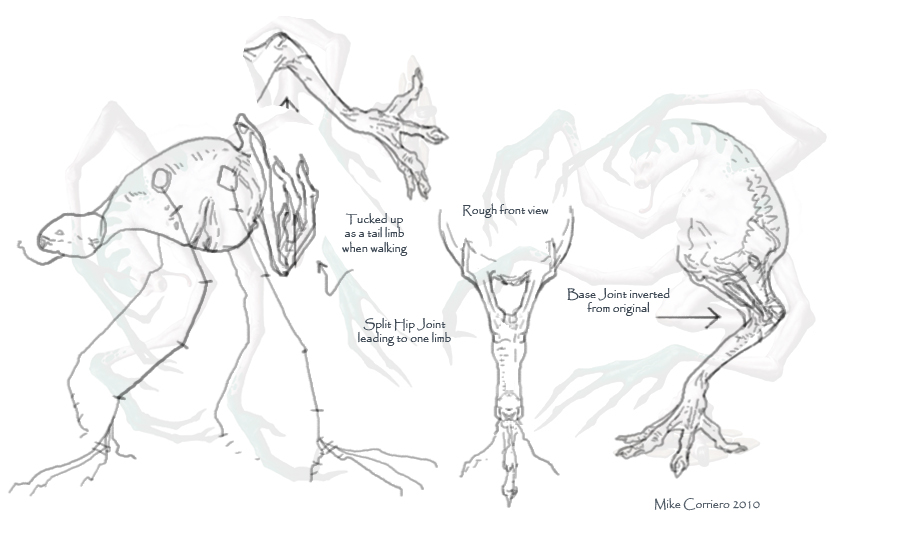 leg-reconstruction.jpg