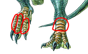 tyrannosaurusrex1be2.jpg
