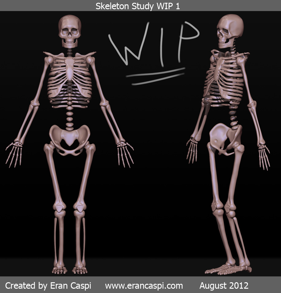 Skeleton Render WIP 1.jpg
