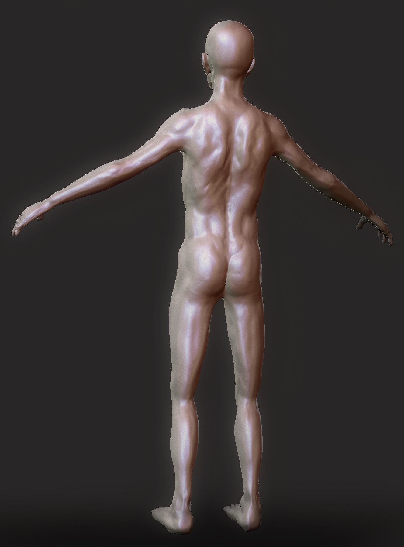 back.jpg