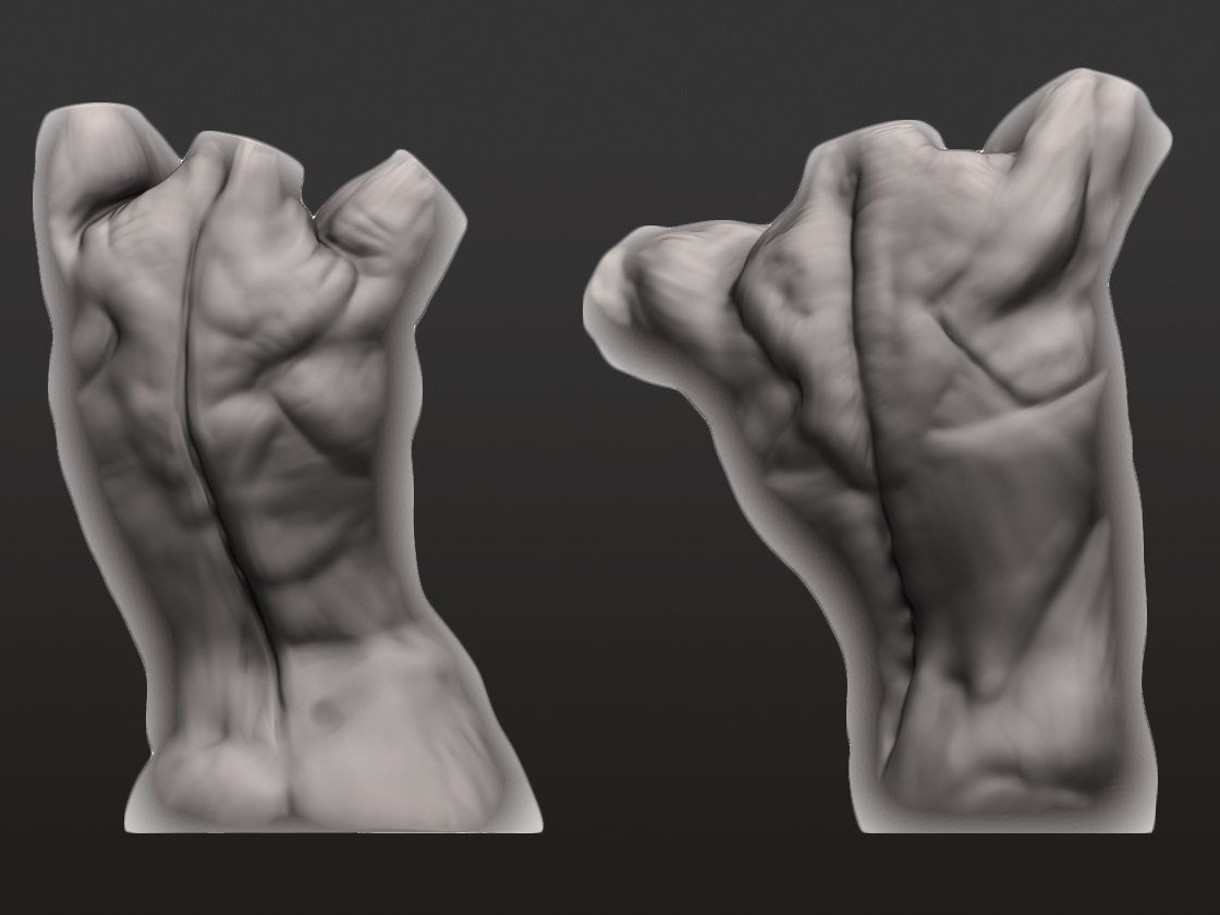 Torso_4.jpg