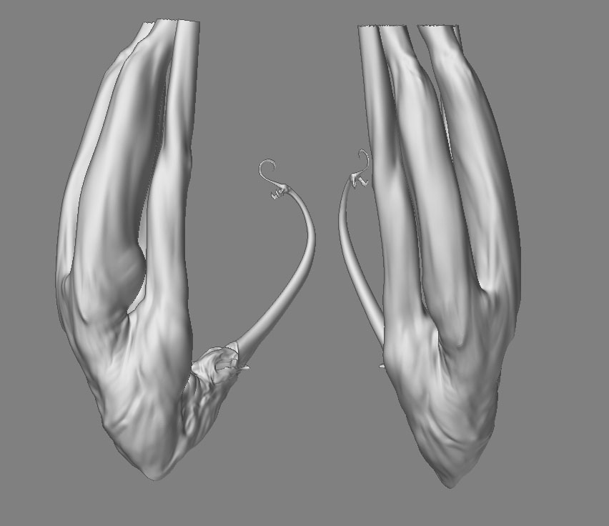 ZBrush Document D.jpg