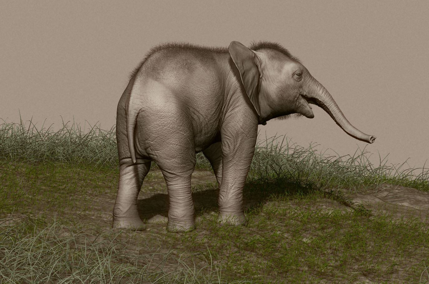 elephant_06.JPG